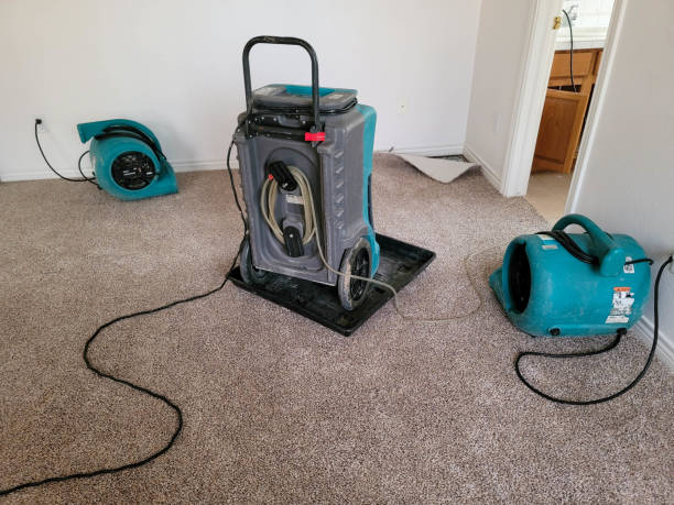 Best Flooded house restoration  in Rocky Point, NY