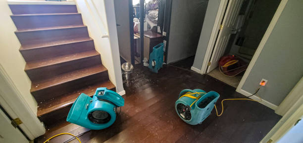 Best Carpet water damage restoration  in Rocky Point, NY