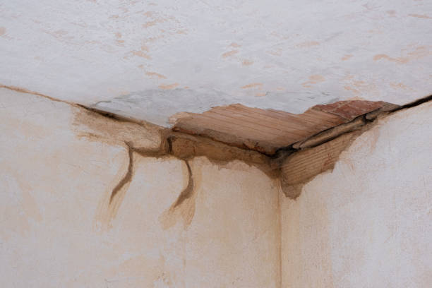 Best Basement water damage restoration  in Rocky Point, NY