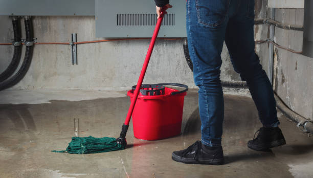 Best Water damage cleanup near me  in Rocky Point, NY