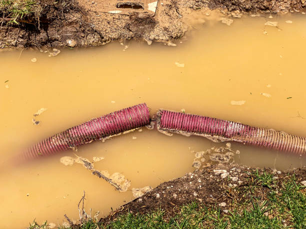 Best Water damage cleanup near me  in Rocky Point, NY