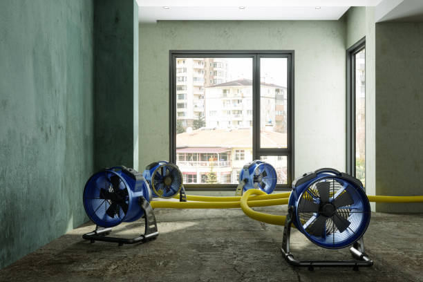 Best Fire Damage Restoration  in Rocky Point, NY